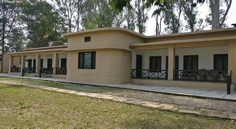 Forest Lodges