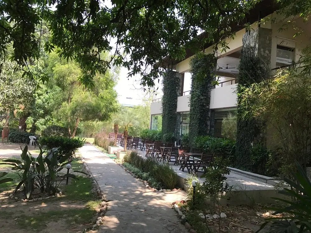Jungle Camps