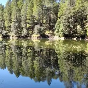  Ranikhet Tourism - Bhalu Dam