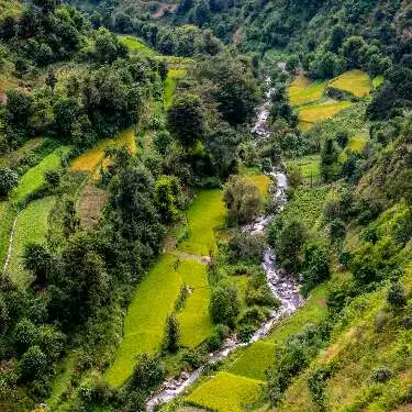 Binsar Tourism - Binsar Wildlife Sanctuary