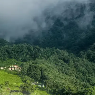 Pangot Tourism - Himalayan Viewpoint