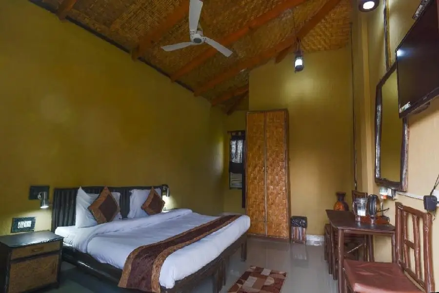 Ashoka tiger trail
