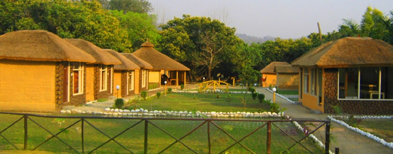 Jungle paradise retreat