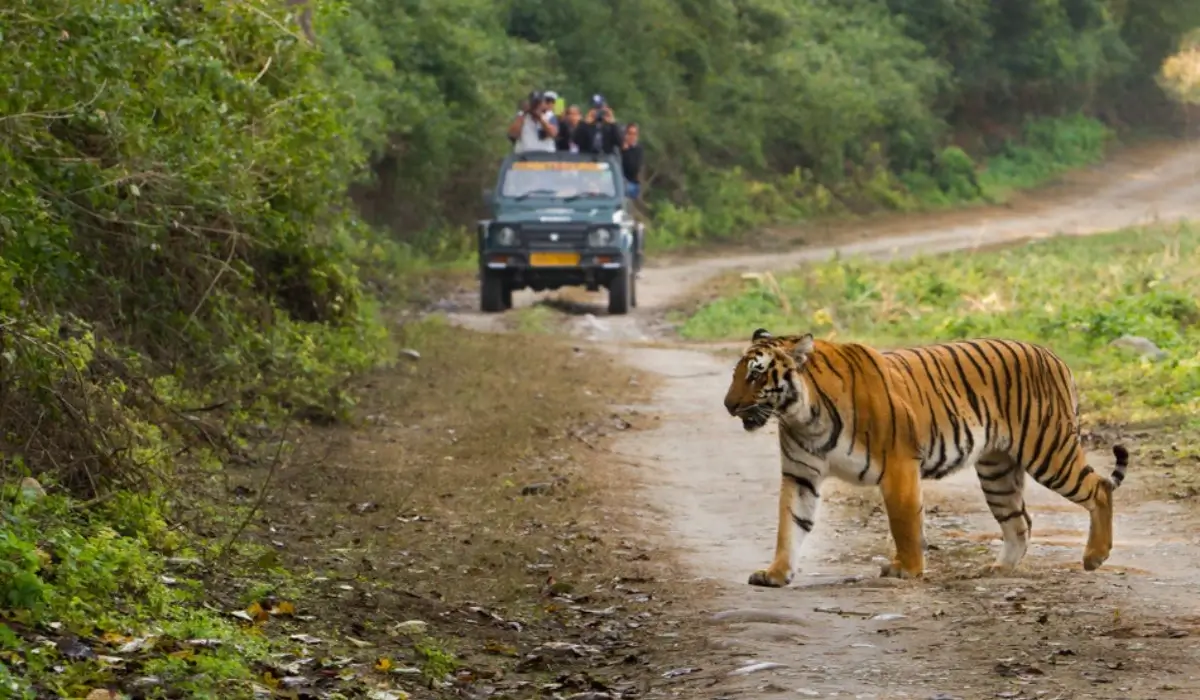 Jim corbett