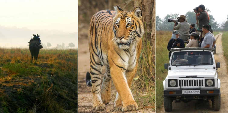 Dhikala tour package