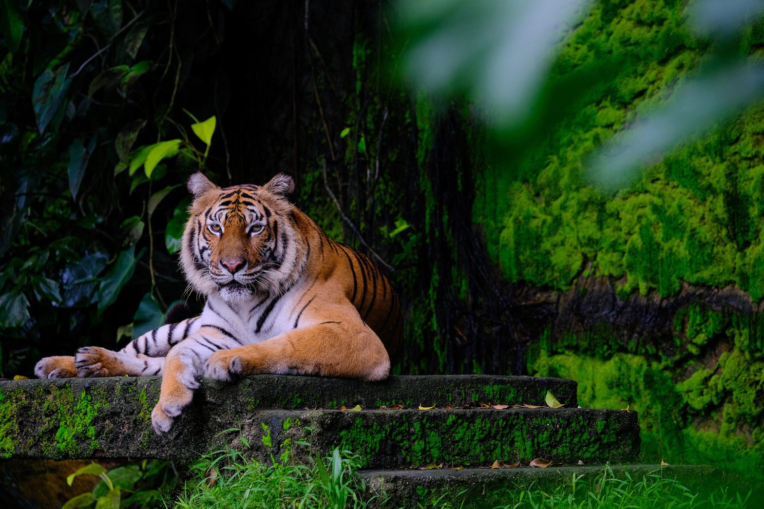 Corbett weekend tours